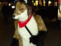 DSCF2914.JPG